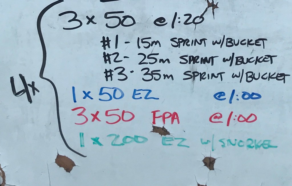 Buckets The Swimming Wizard