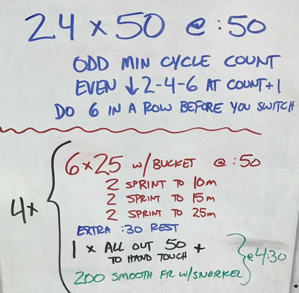 Buckets The Swimming Wizard