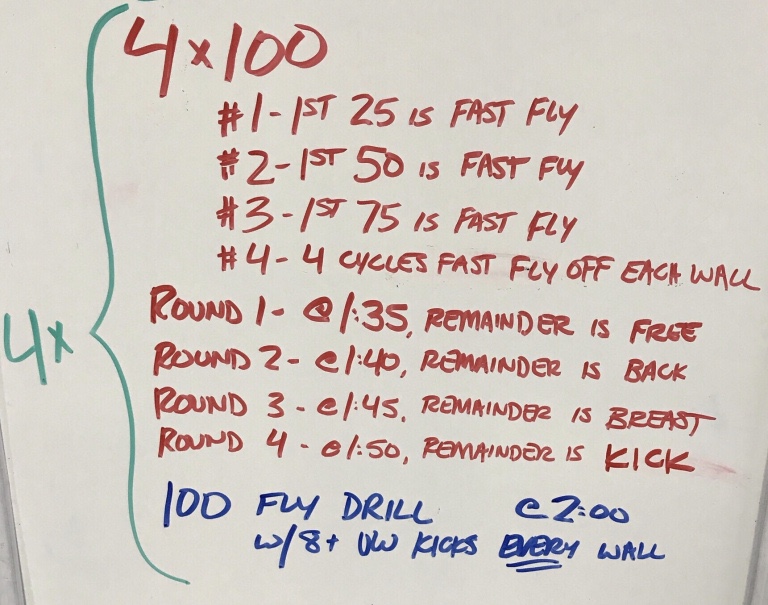 Fly with Variety – The Swimming Wizard